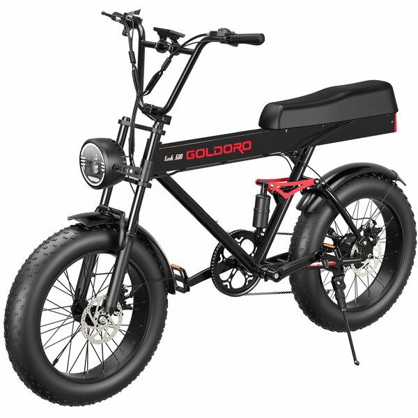 Goldoro Tank 600 500W 20in Electric Bike, Black EB20TK600-BK